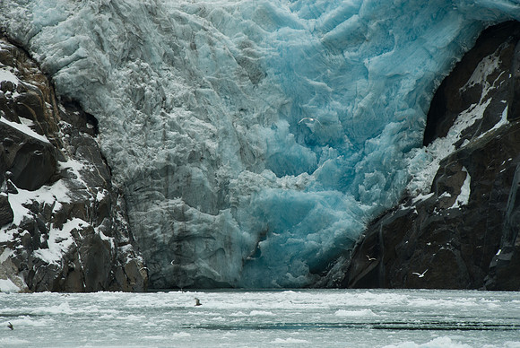 Northwestern Glacier, Kenai Fjords National Park, Alaska