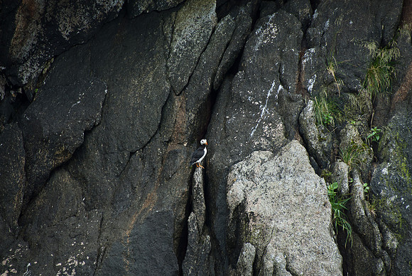 Kenai Fjords National Park, Alaska