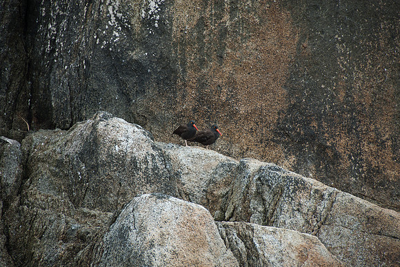 Kenai Fjords National Park, Alaska
