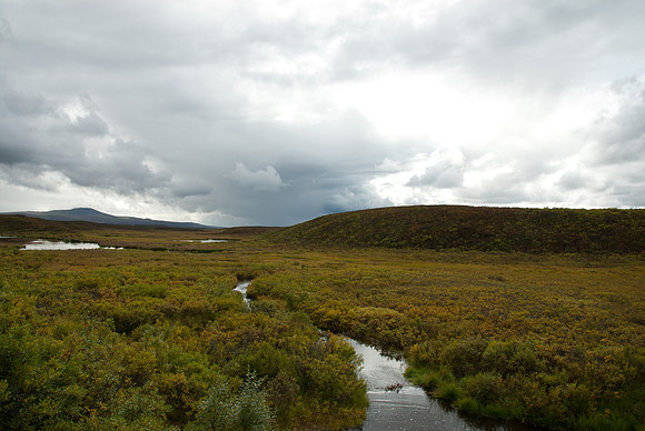 Denali Highway, Alaska