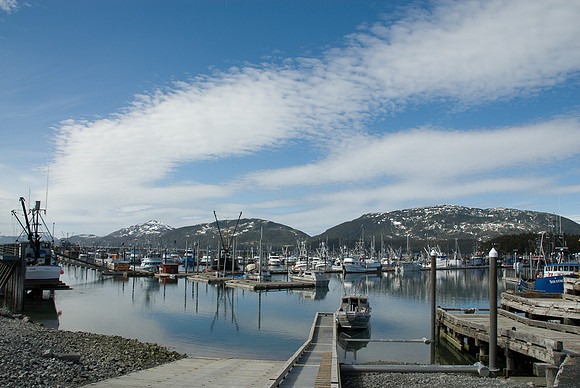 Cordova harbor