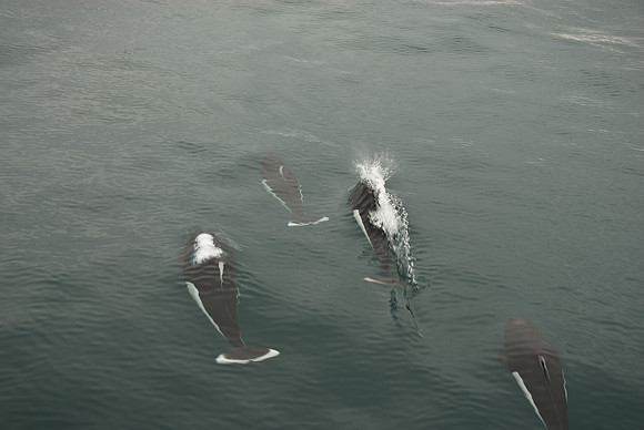 Kenai Fjords National Park, Alaska