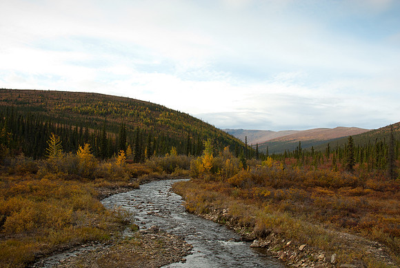 Steese Highway, Alaska