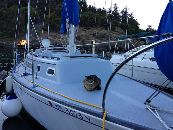 Friday Harbor, WA