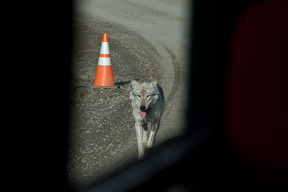 Denali National Park, Alaska