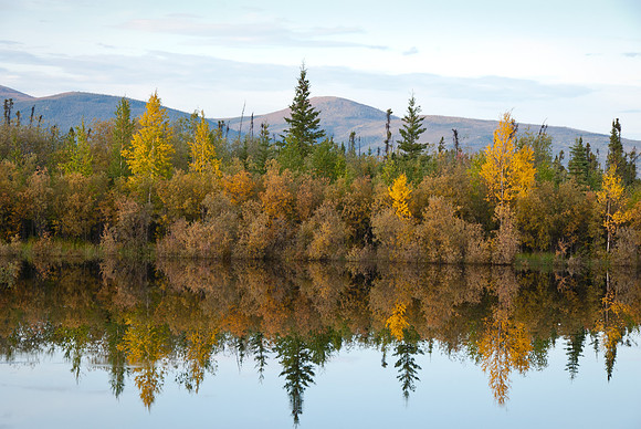 Steese Highway, Alaska