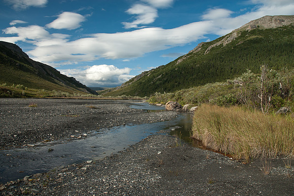Denali National Park, Alaska