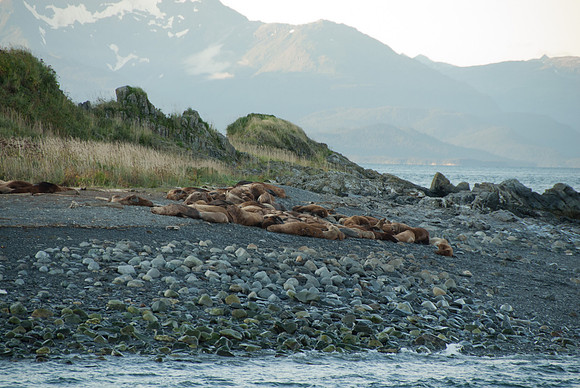 Juneau, Alaska