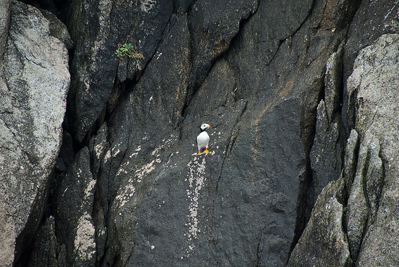 Kenai Fjords National Park, Alaska