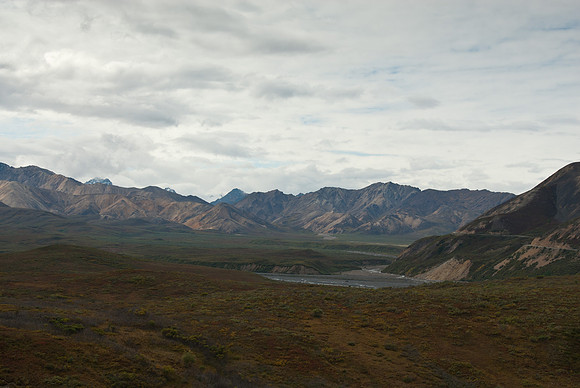 Denali National Park, Alaska