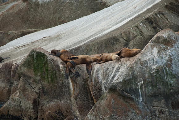 Kenai Fjords National Park, Alaska