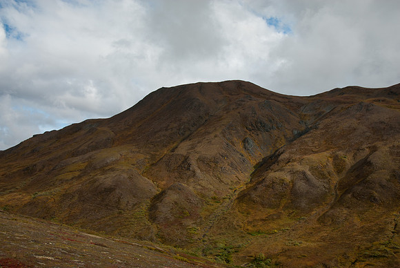 Denali National Park, Alaska