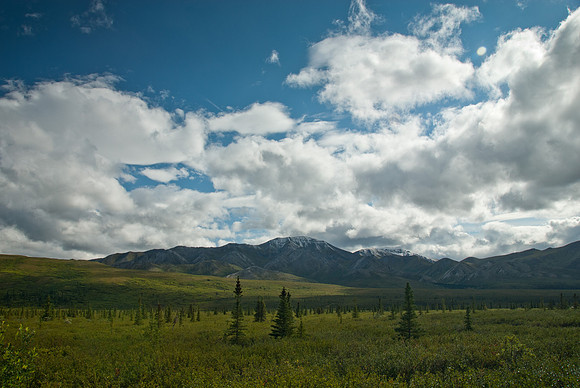 Denali National Park, Alaska