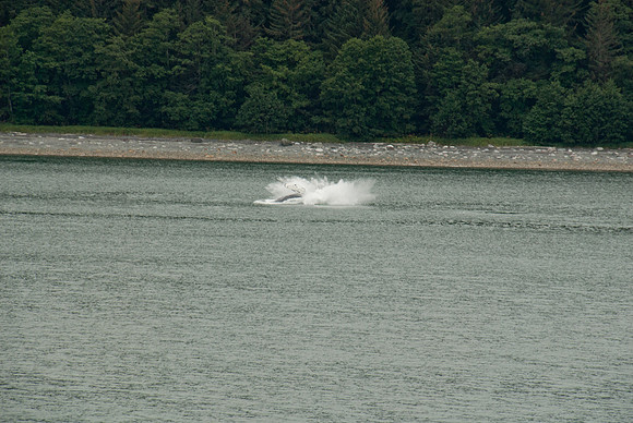 Alaska Marine Highway