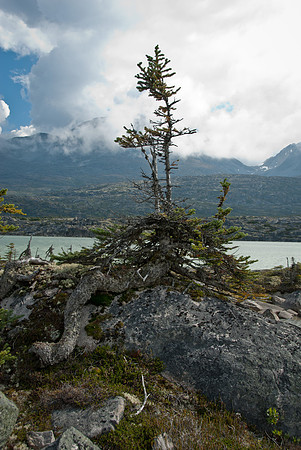 Klondike Highway, Canada