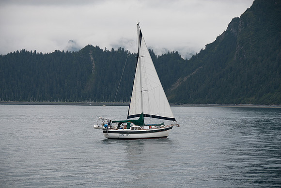 Kenai Fjords National Park, Alaska