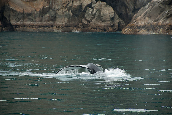 Kenai Fjords National Park, Alaska