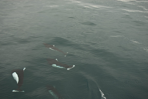 Kenai Fjords National Park, Alaska