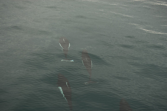 Kenai Fjords National Park, Alaska