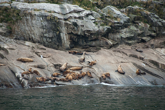 Kenai Fjords National Park, Alaska