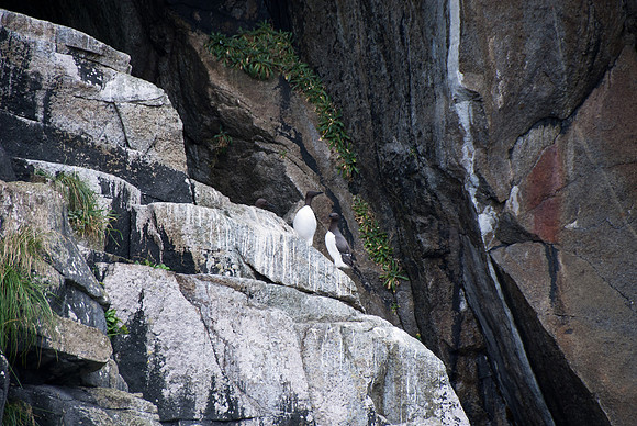 Kenai Fjords National Park, Alaska