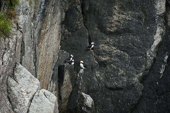 Kenai Fjords National Park, Alaska
