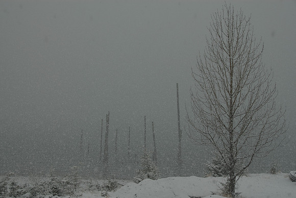 Heavy snow at the PNH base