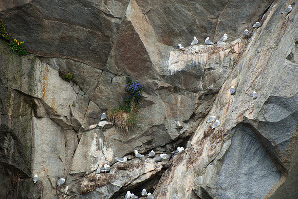 Kenai Fjords National Park, Alaska