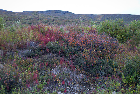 Denali Highway, Alaska