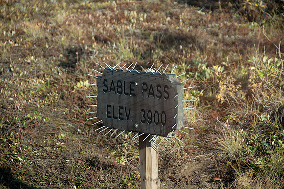 Bear-proof sign