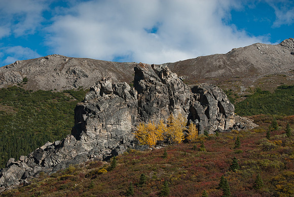 Denali National Park, Alaska