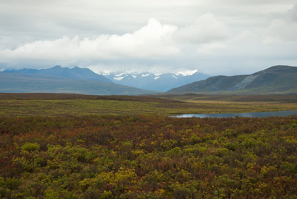 Denali Highway, Alaska