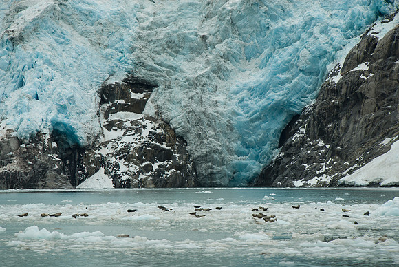 Northwestern Glacier, Kenai Fjords National Park, Alaska