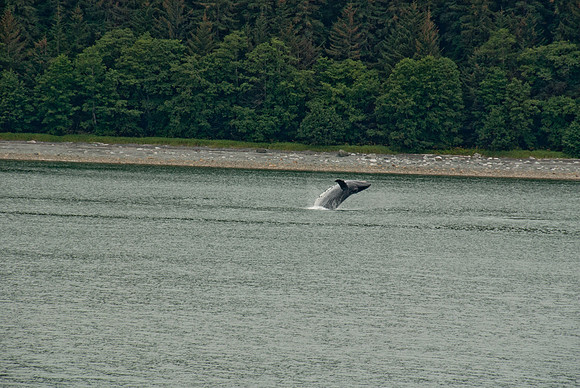Alaska Marine Highway