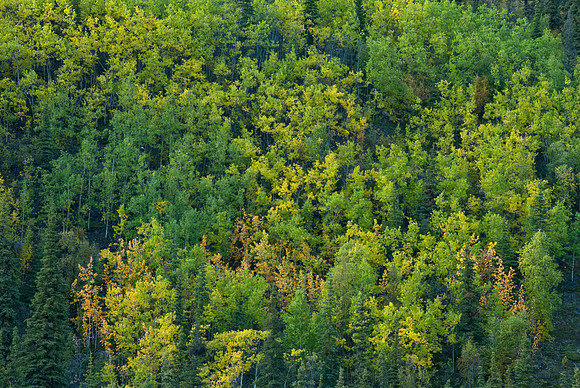 Steese Highway, Alaska