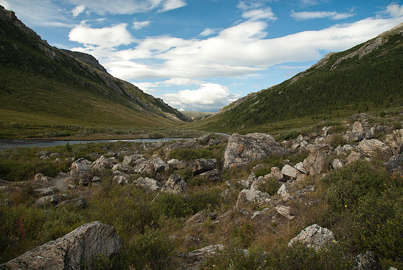 Denali National Park, Alaska