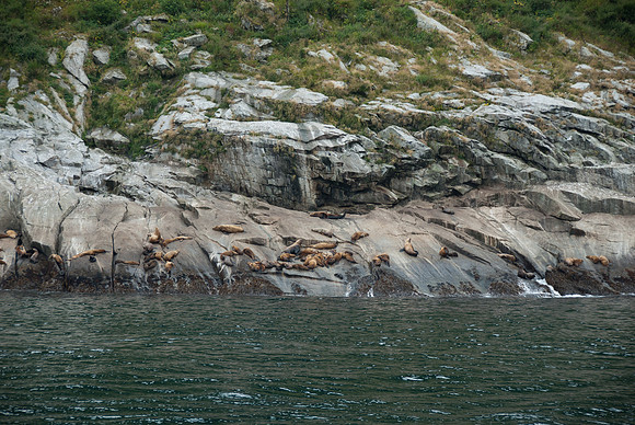 Kenai Fjords National Park, Alaska